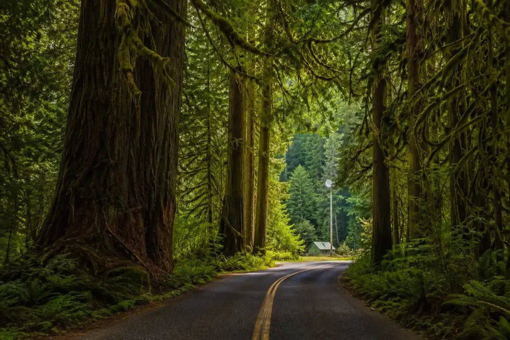 rural internet Washington State 2026